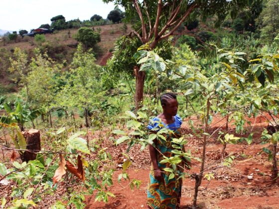 New Voicebook innovation exposes Kisarawe  farmers to better business opportunities